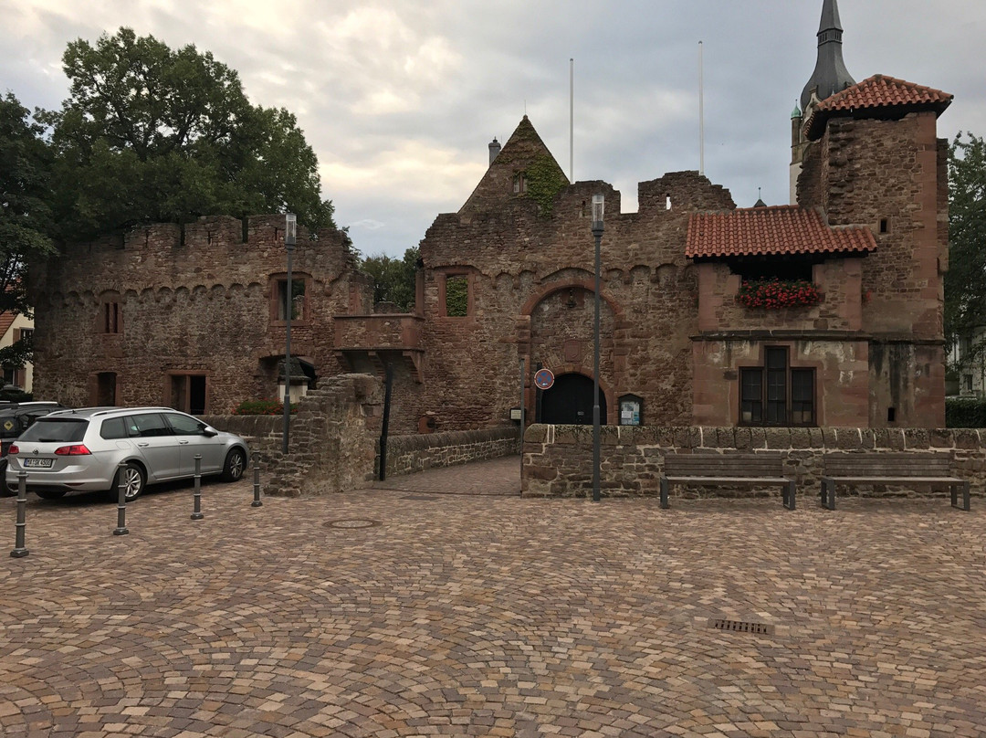 Tiefburg Handschuhsheim-海德尔堡必去景点