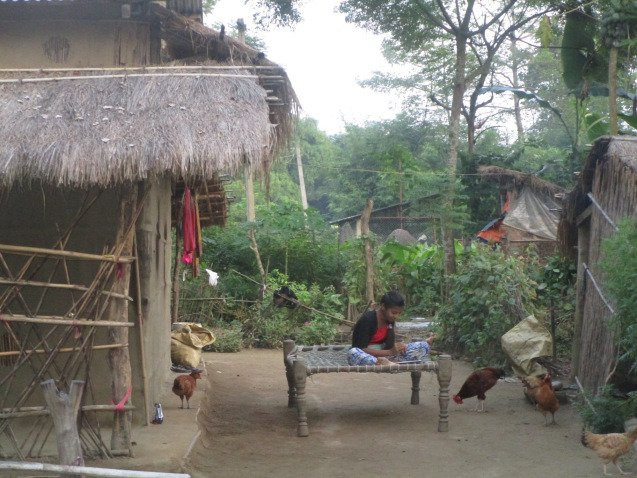 Meghauli酒店住宿-Tharu Homestay Meghauli Village