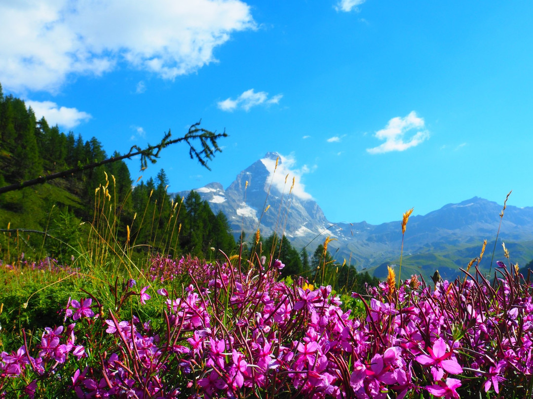 Lago di Cignana景点图片