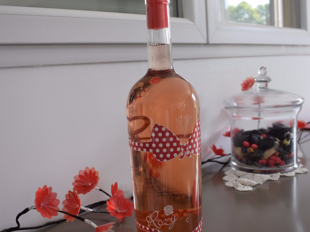 Vignobles Dom Brial景点图片