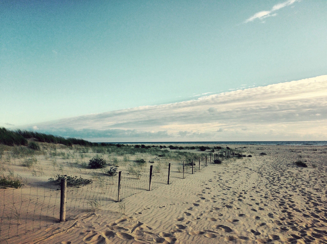 Plage de la Pointe Espagnole景点图片
