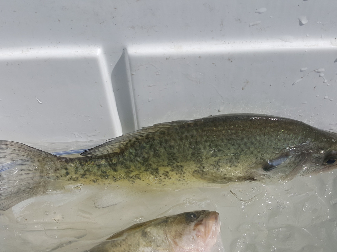 Greenbelt Lake-Clarendon必去景点