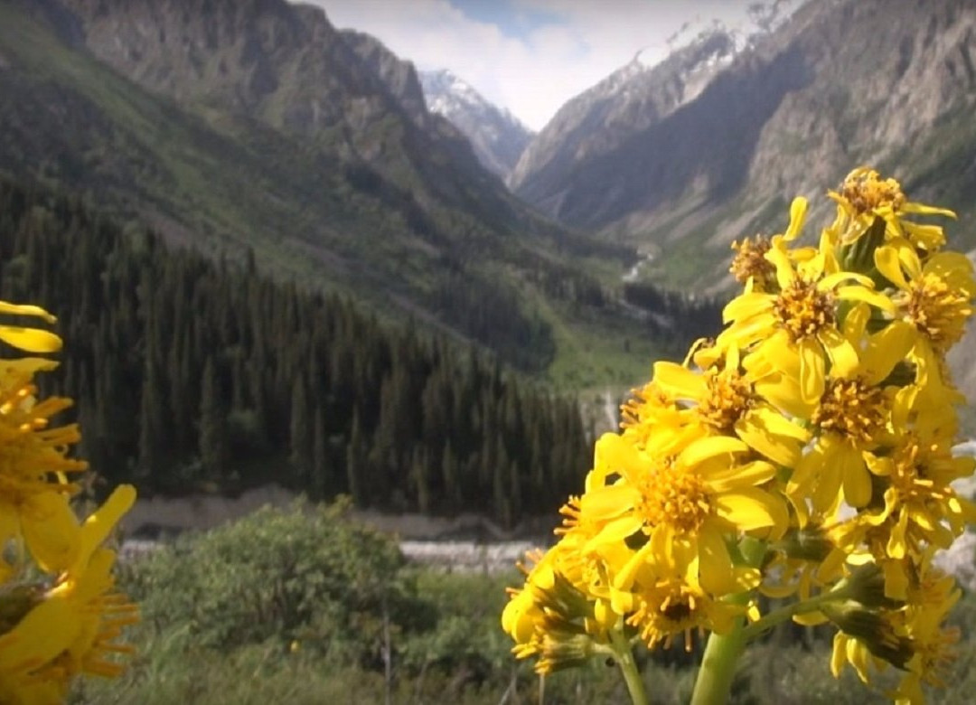 Globuslanding Motorcycle Rental  & Tours-比斯凯克必去景点