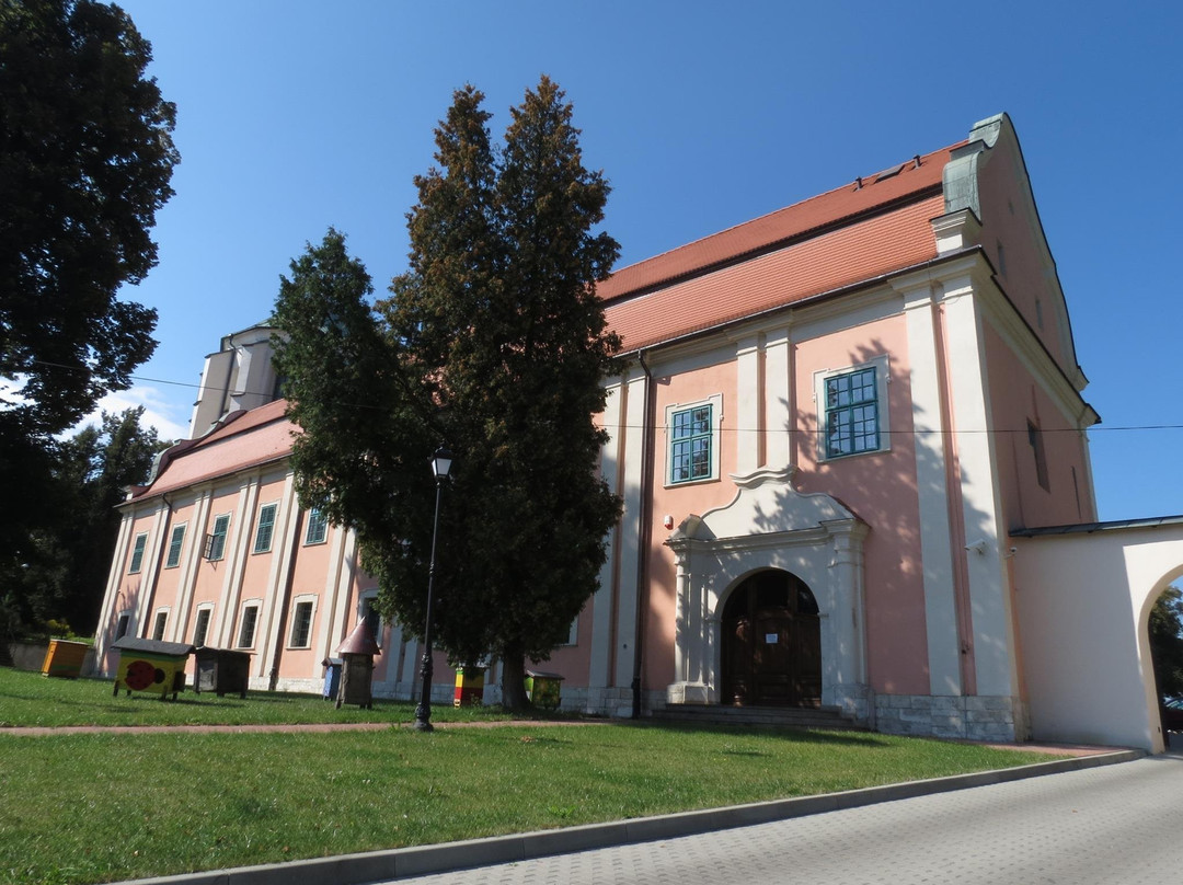 Museum of the Miechów Region景点图片