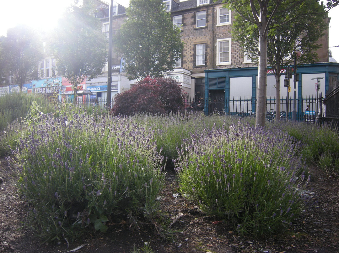 Nicolson Square Gardens景点图片