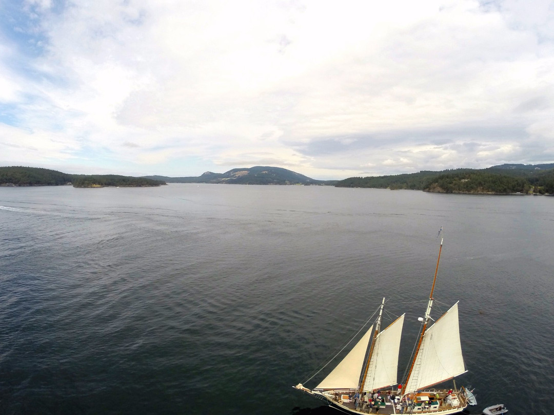 Schooners North景点图片