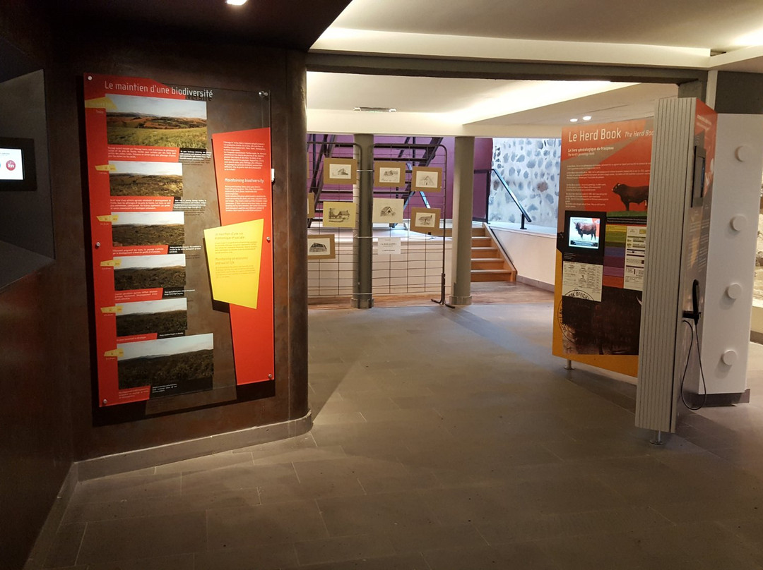 Maison de la Salers-Saint-Bonnet-de-Salers必去景点