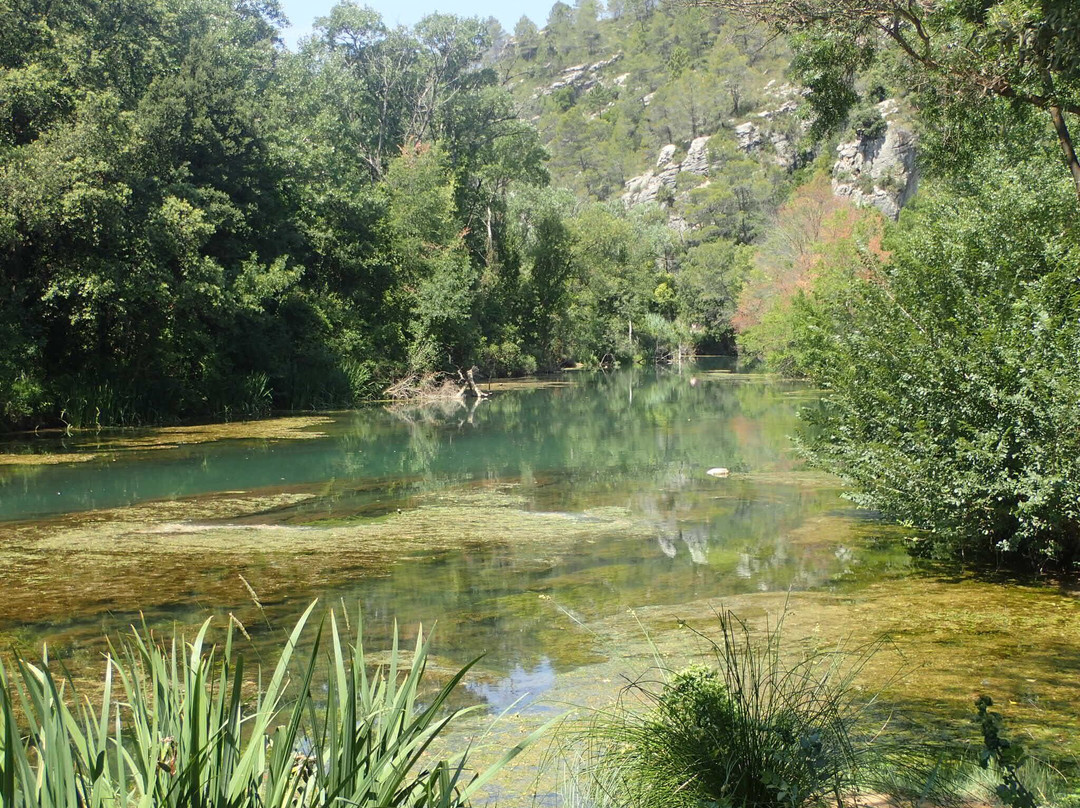 Vallon Sourn景点图片