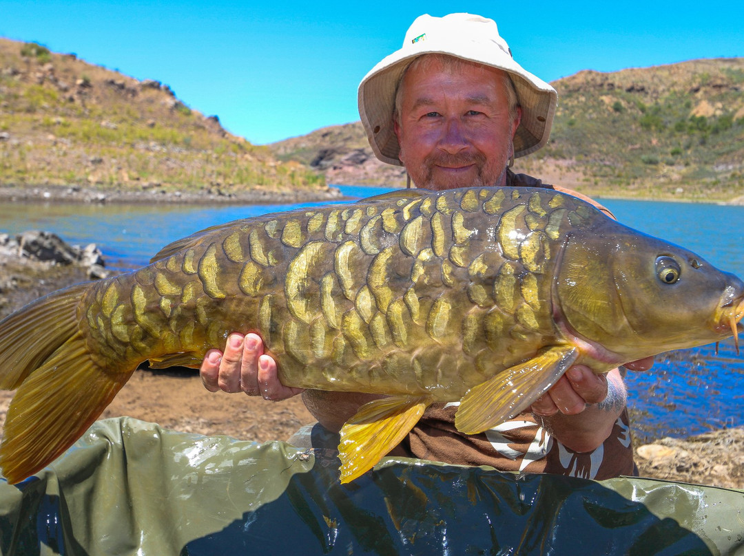 Carp Gran Canaria-San Bartolome de Tirajana必去景点