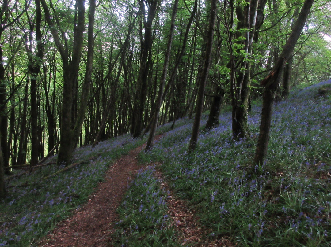 The Ireland Way Hiking Trail景点图片