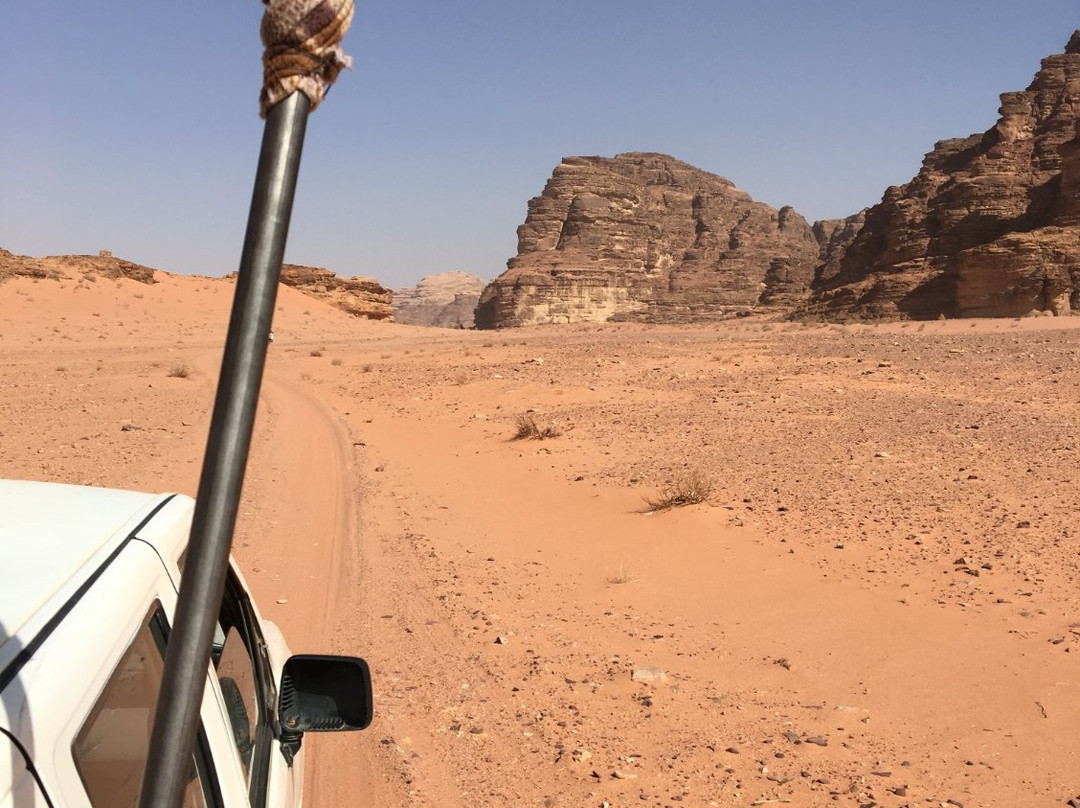 Best Shore Trips - Private Tours景点图片