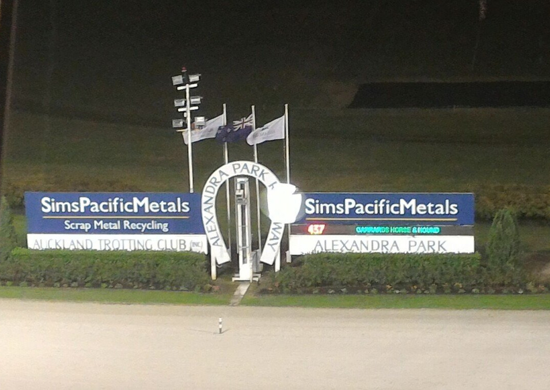 Alexandra Park-埃普索姆必去景点