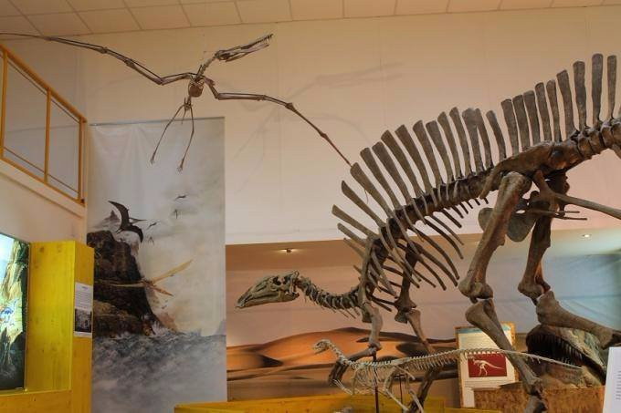Museo di Paleontologia Unical景点图片