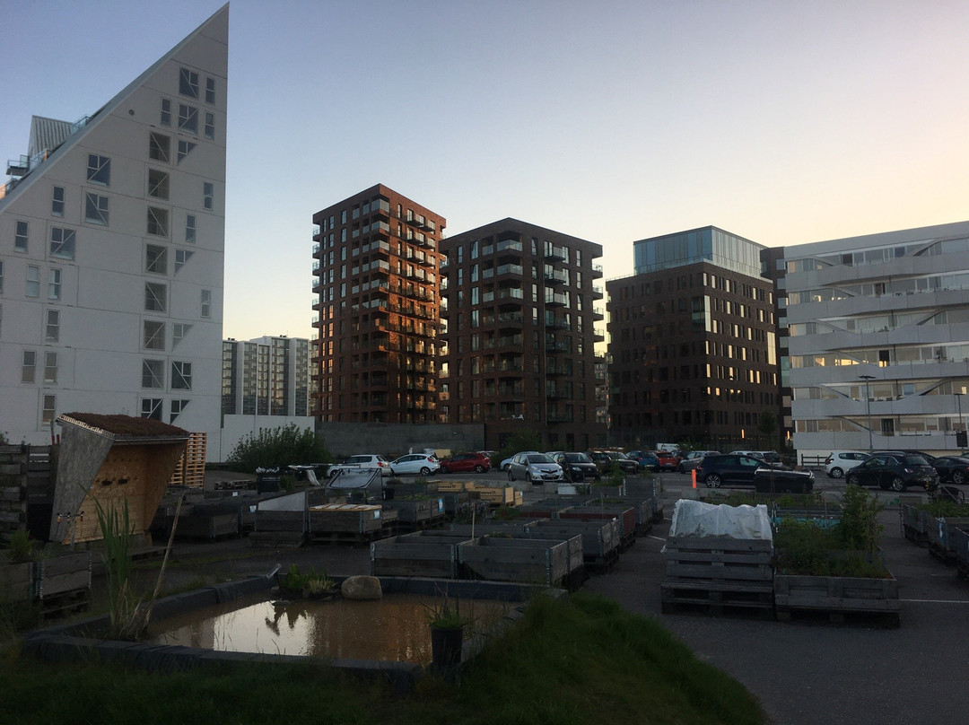 Ø-Haven-欧胡斯必去景点