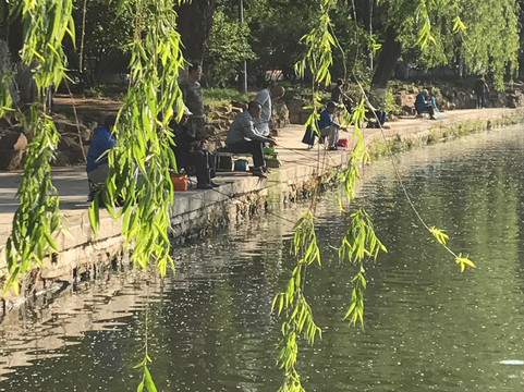 南湖公园-沈阳市必去景点