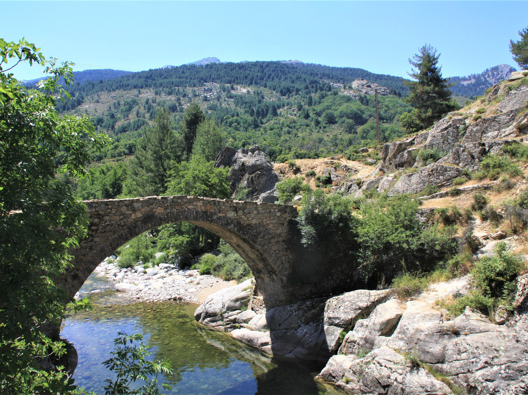 Ponte Altu景点图片