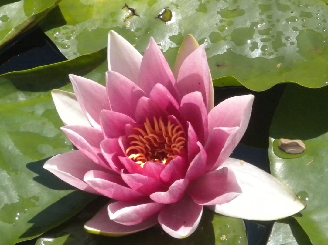 Associazione Turistica Renon-Collalbo必去景点