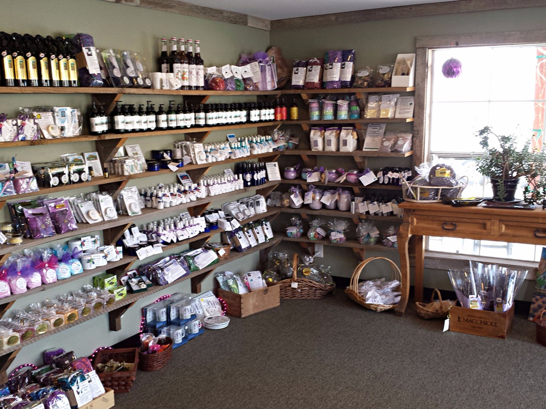 Sprigs & Sprouts Lavender Farm-Palisade必去景点