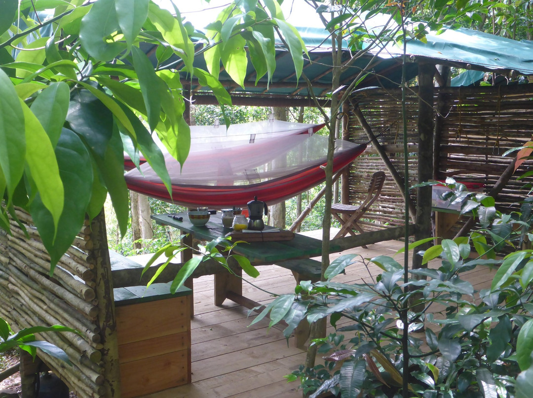 Hamac Camp Guadeloupe