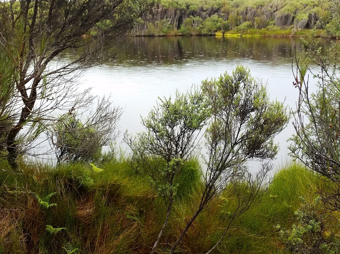 Waituna Lagoon景点图片