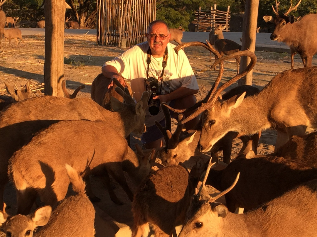 Naypyidaw Zoological Garden-内比都必去景点