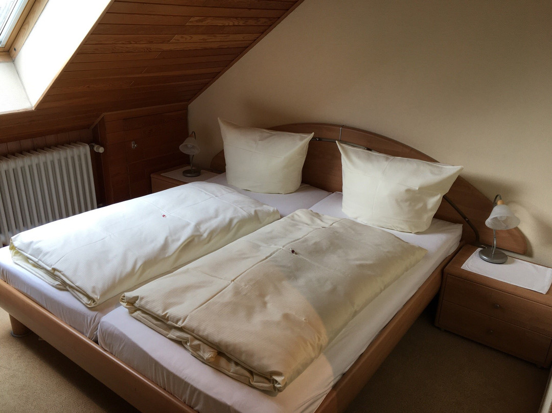 Hotel Hasselbarth主图