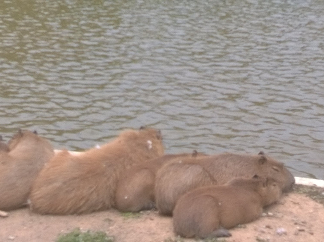Represa Cavalinho Branco-阿瓜斯迪林多亚必去景点