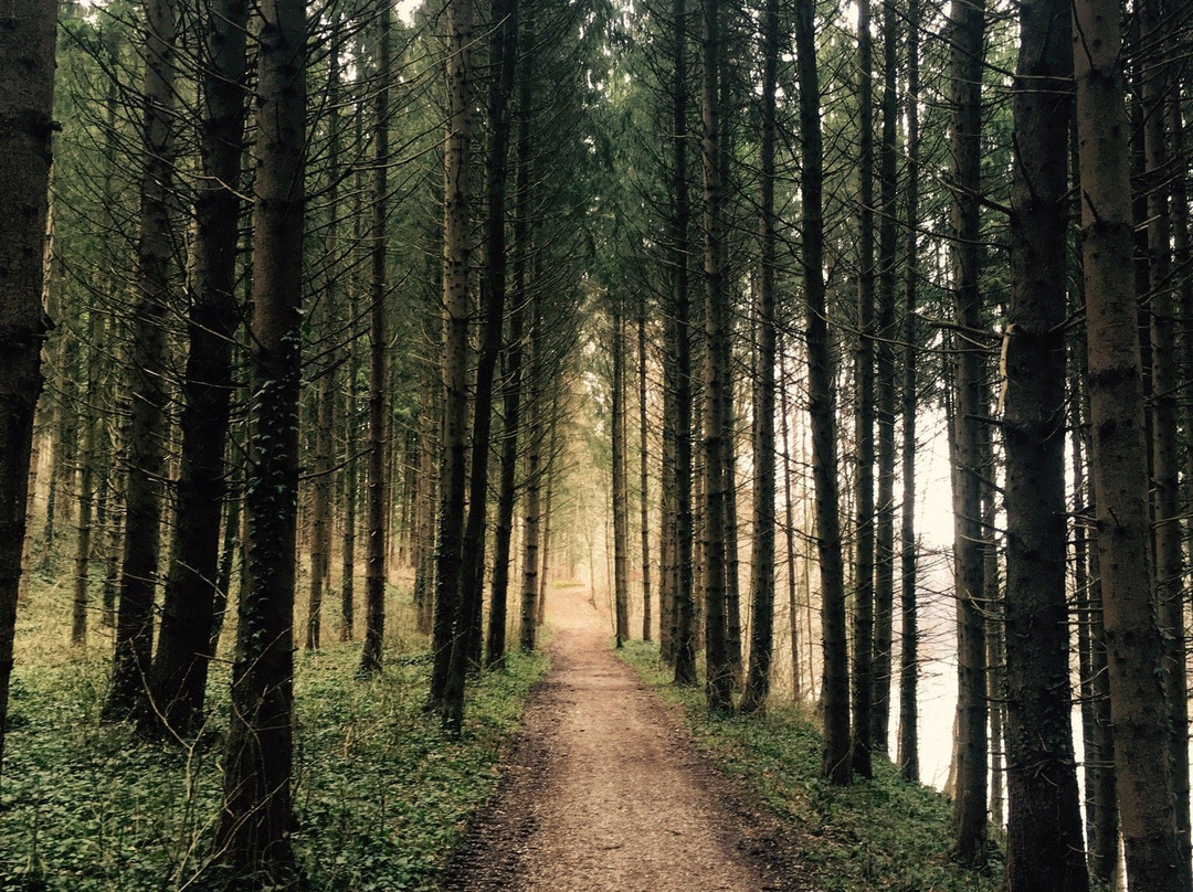 Traunuferweg-Laakirchen必去景点