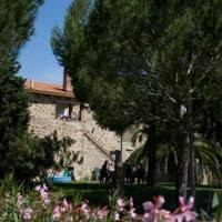 Agriturismo Boschetto di Montiano主图