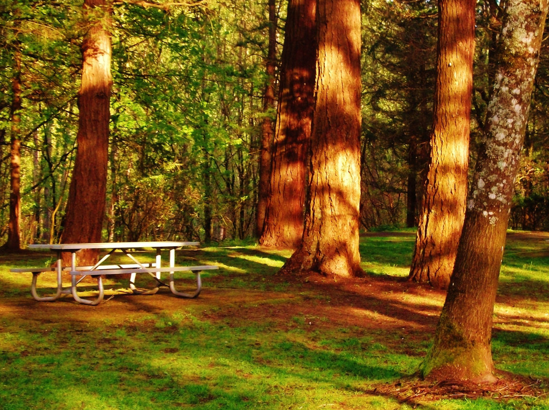 Glenn Otto Community Park-劳特代尔必去景点
