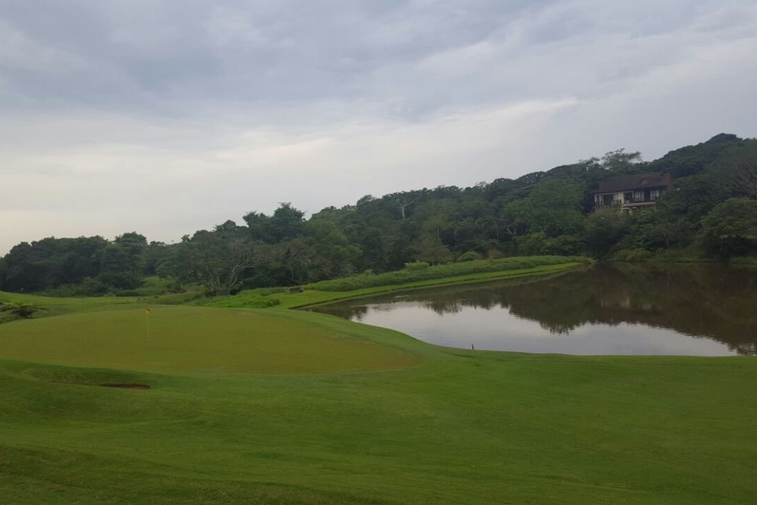 Selborne Park-潘宁顿必去景点