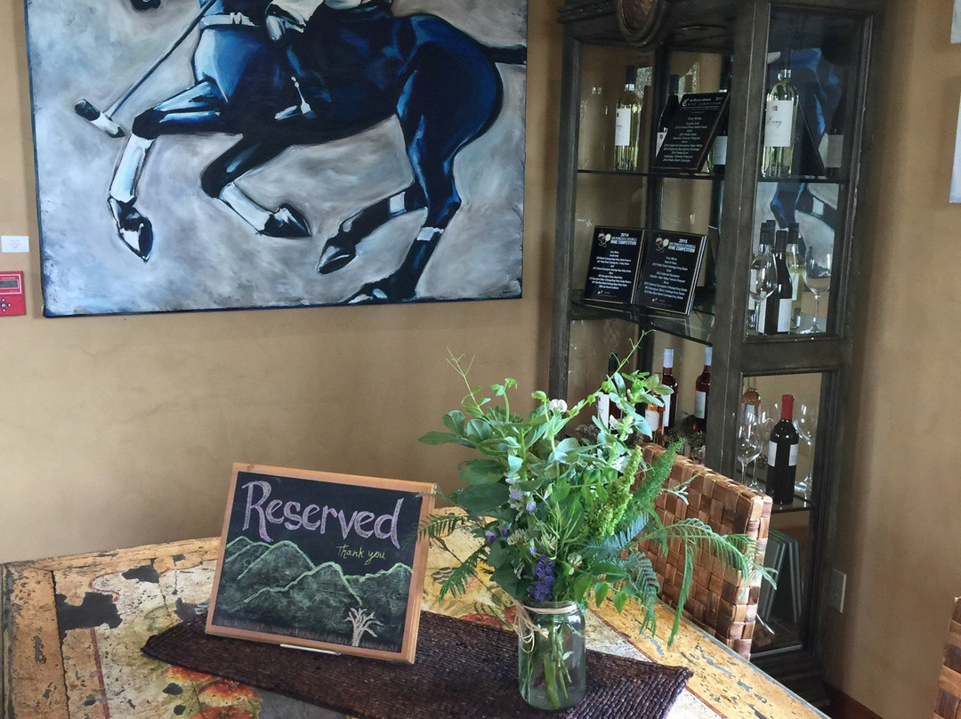 Envy Wines-卡利斯托加必去景点