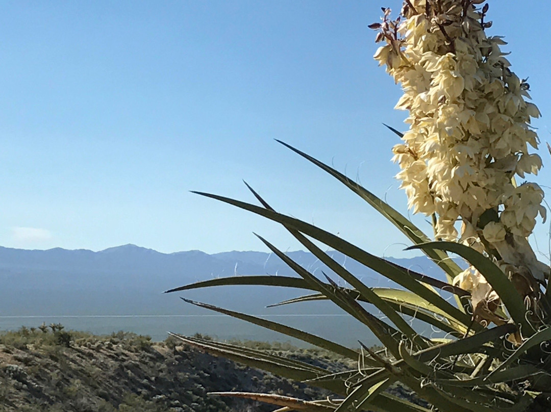 Christmas Tree Pass-拉芙琳必去景点