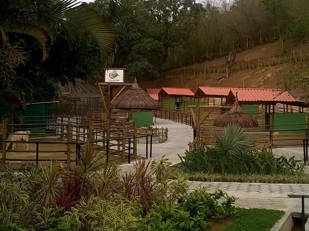 Arca do Noah - Educacao Ambiental