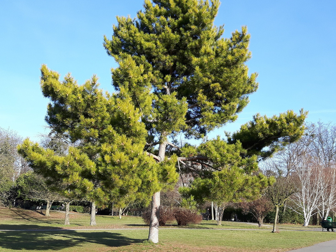 Parc Bertrand-日内瓦必去景点