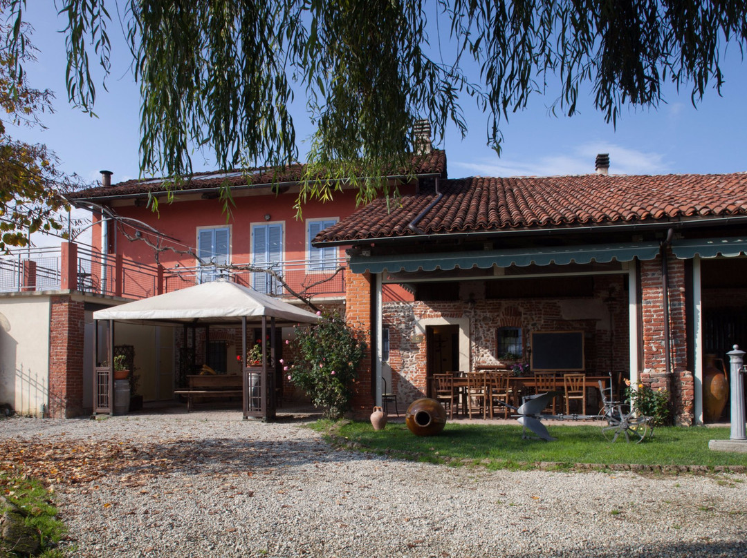 La Vigna del Maestro