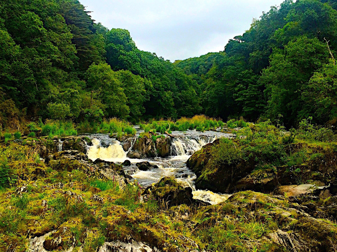 Cenarth旅游攻略图片