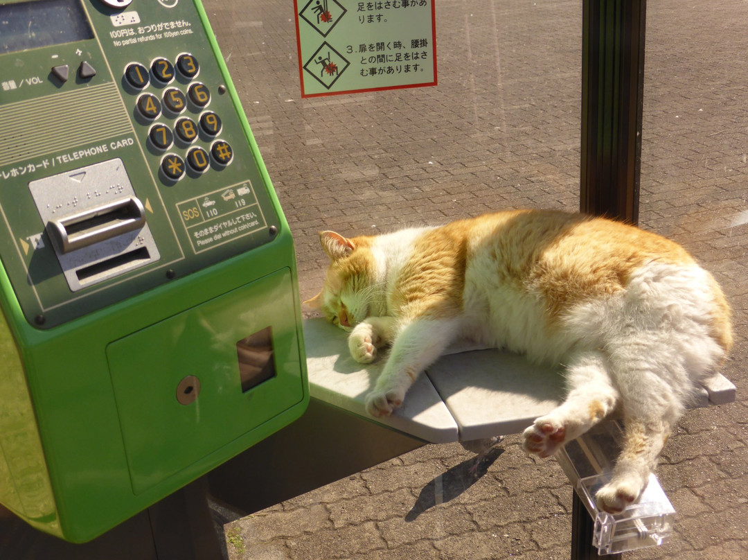 San Remo Park-热海市必去景点