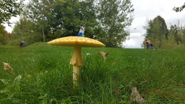 Highbridge Hills Sports Complex-Washburn必去景点