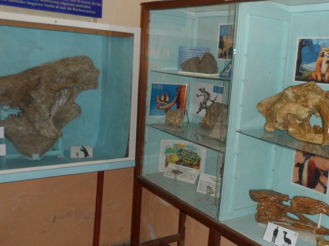 Museum and Historical Archives of Miramar景点图片