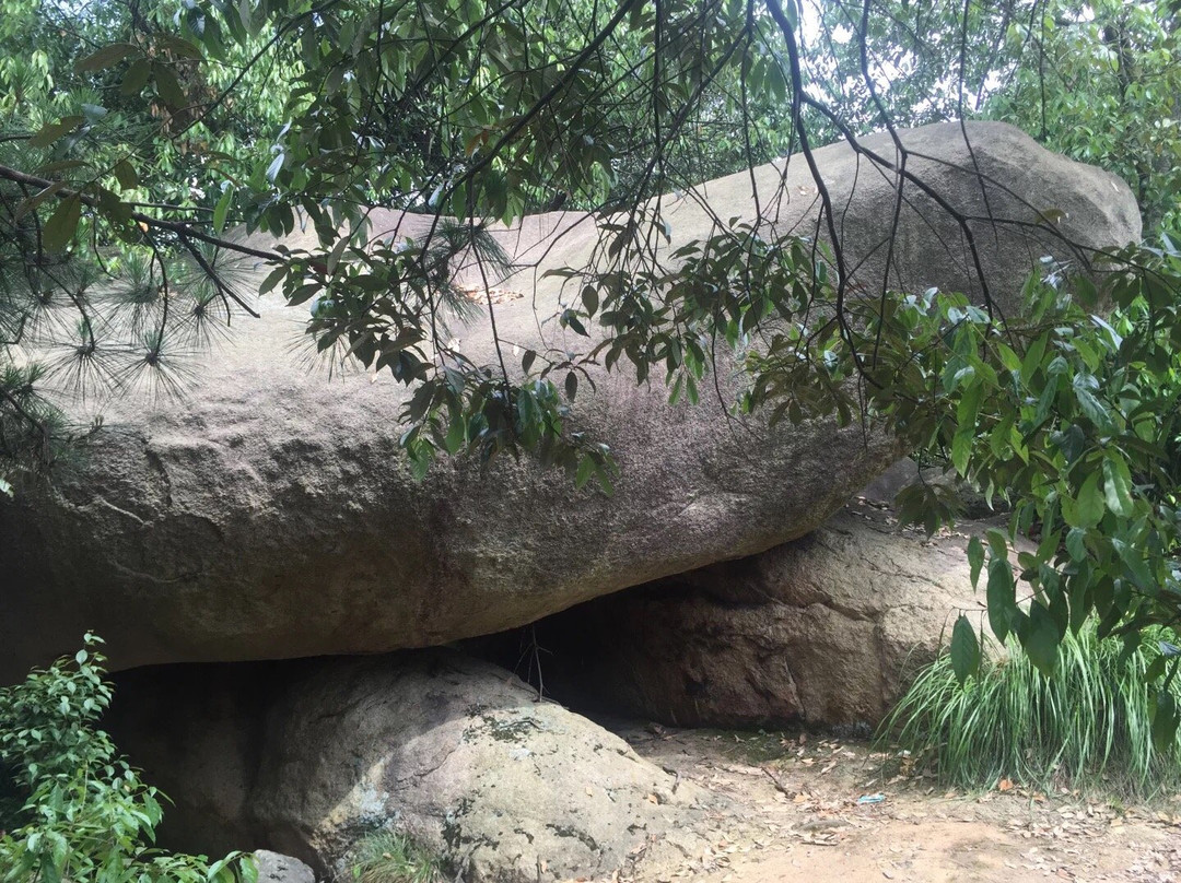 万罗山-池州市必去景点