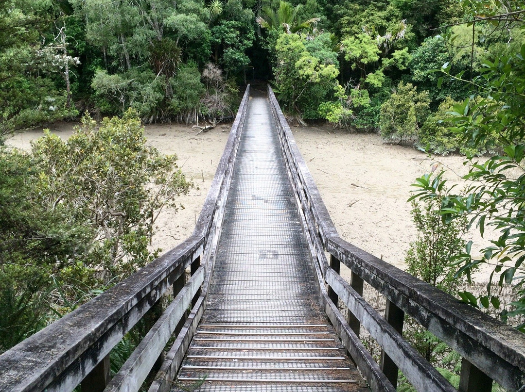 Okura Bush Walkway景点图片