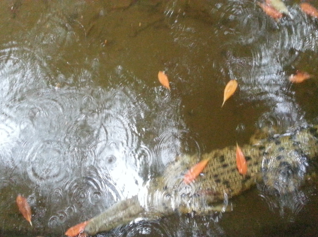Gowa Discovery Park景点图片