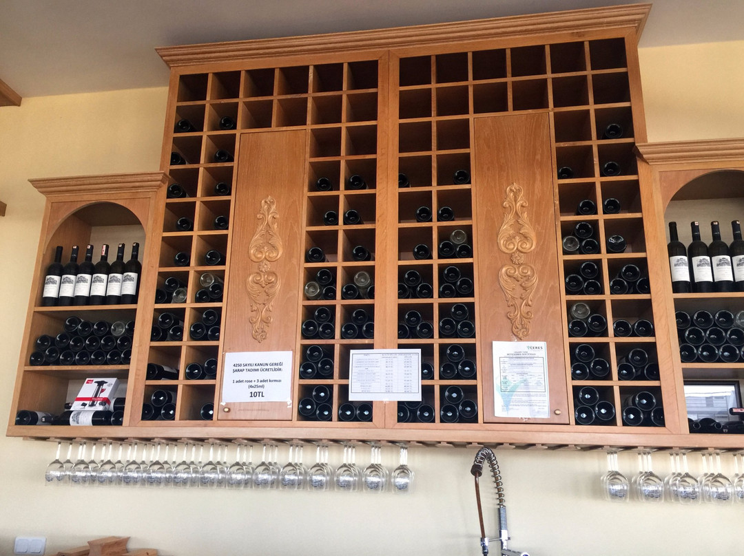 Chateau Nuzun景点图片