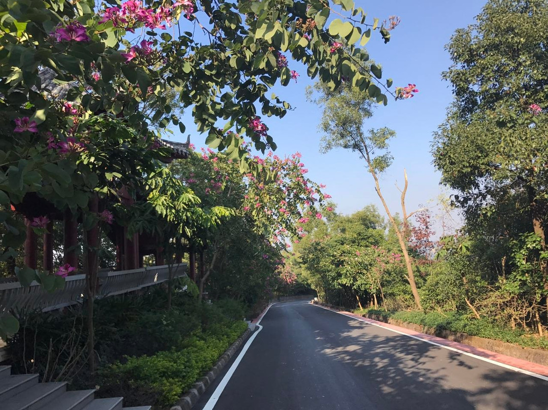 大屏障森林公园-东莞市必去景点