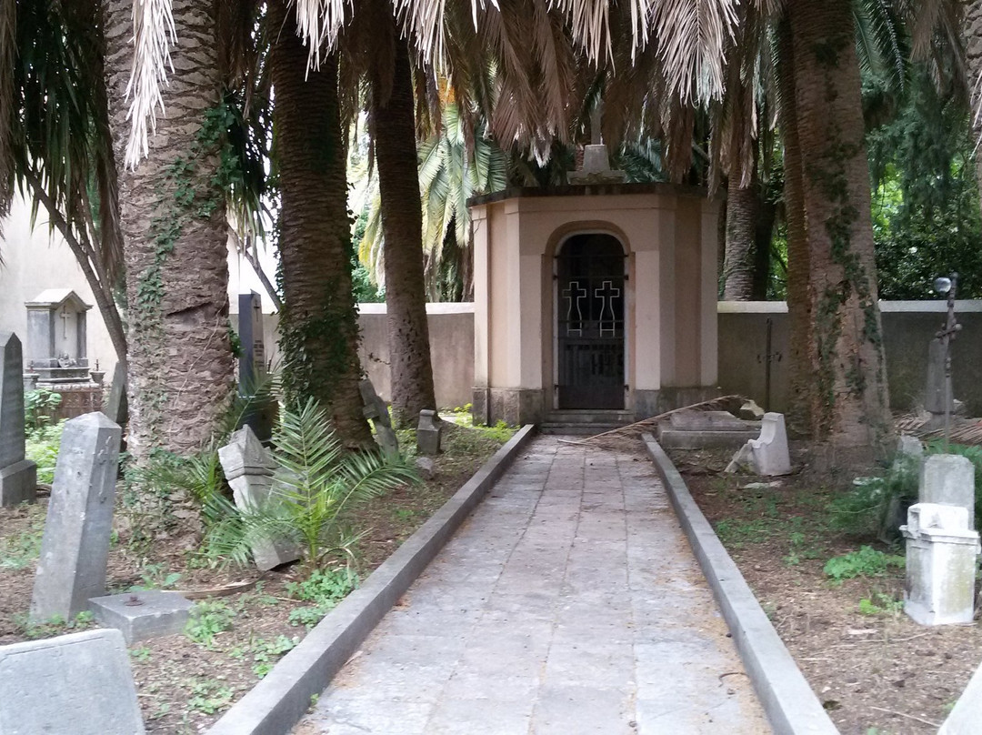 Church of St. Antoine-赫尔采格诺维必去景点