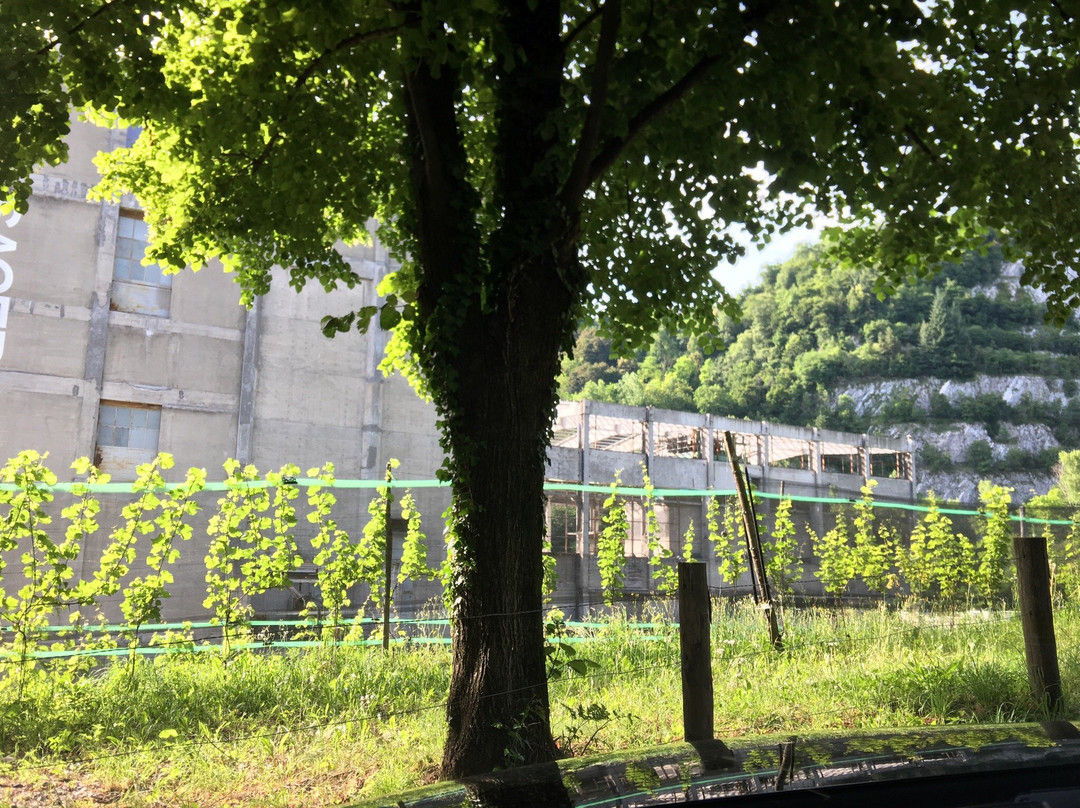 Percorso del Cemento-Morbio Inferiore必去景点