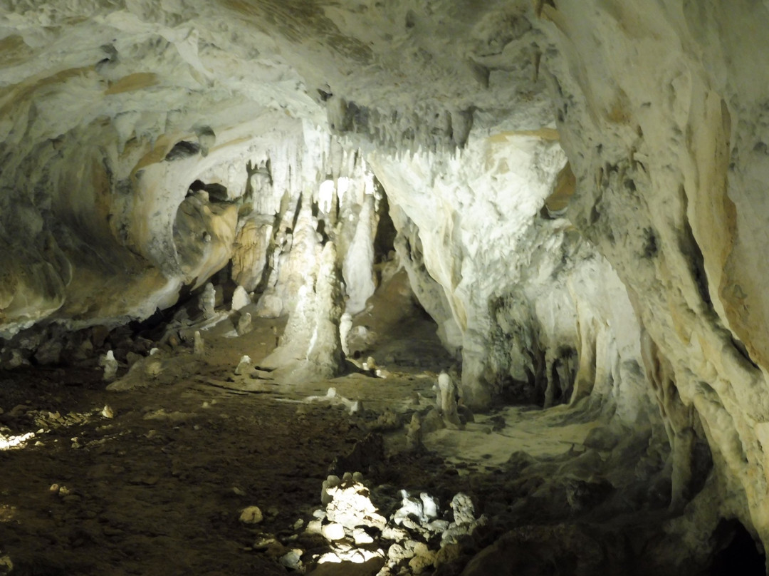 Cuevas de Urdazubi Urdax景点图片