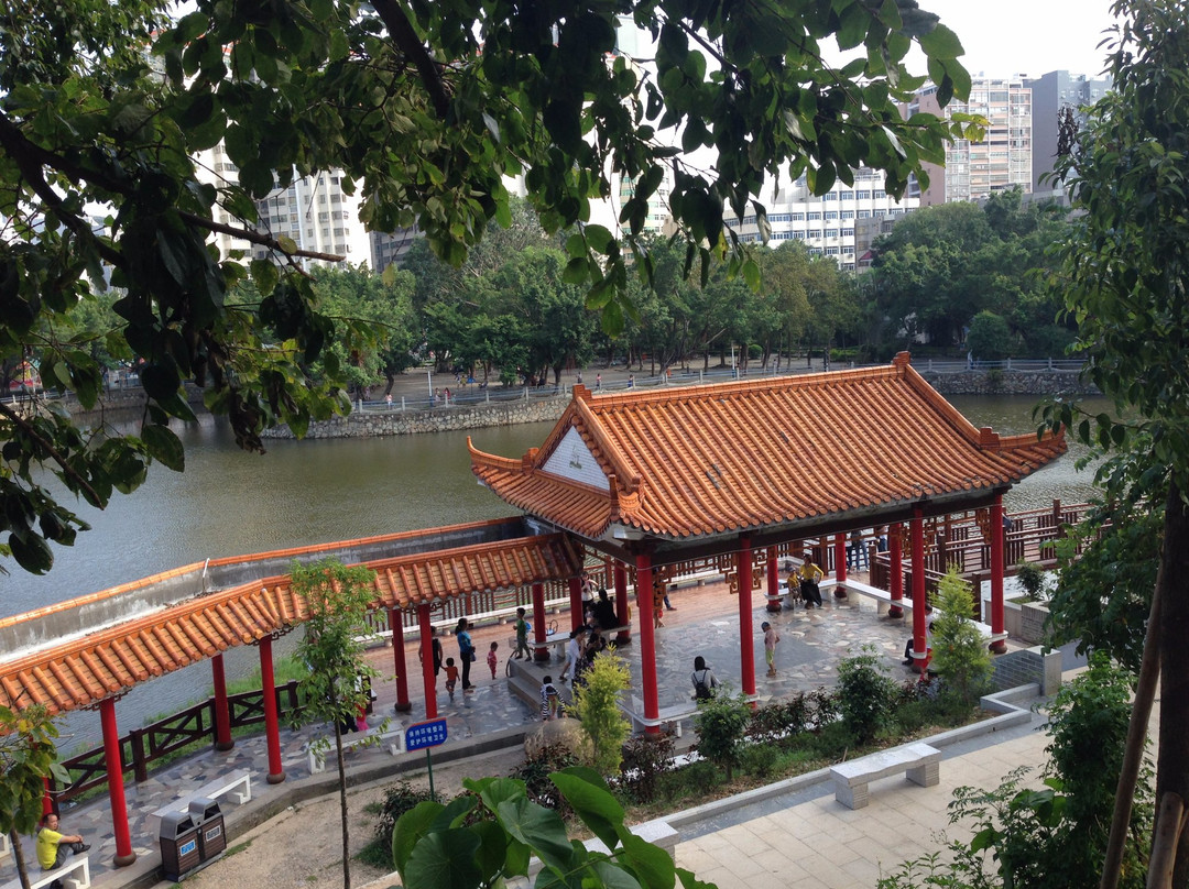 避风塘鱼港景点图片