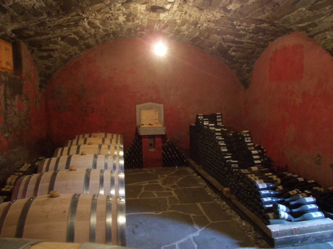 Sutor Wine Farm